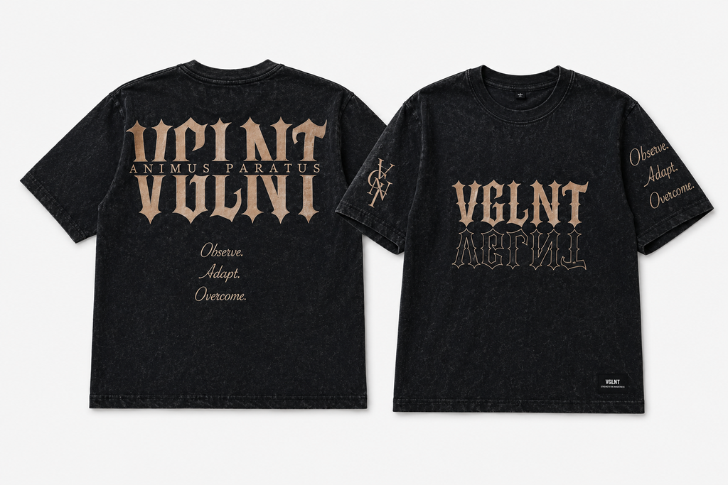 Washed Tee (VGLNT)