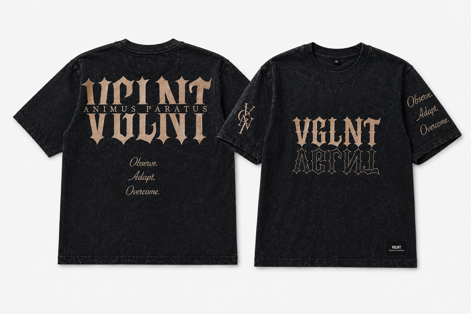 Washed Tee (VGLNT)