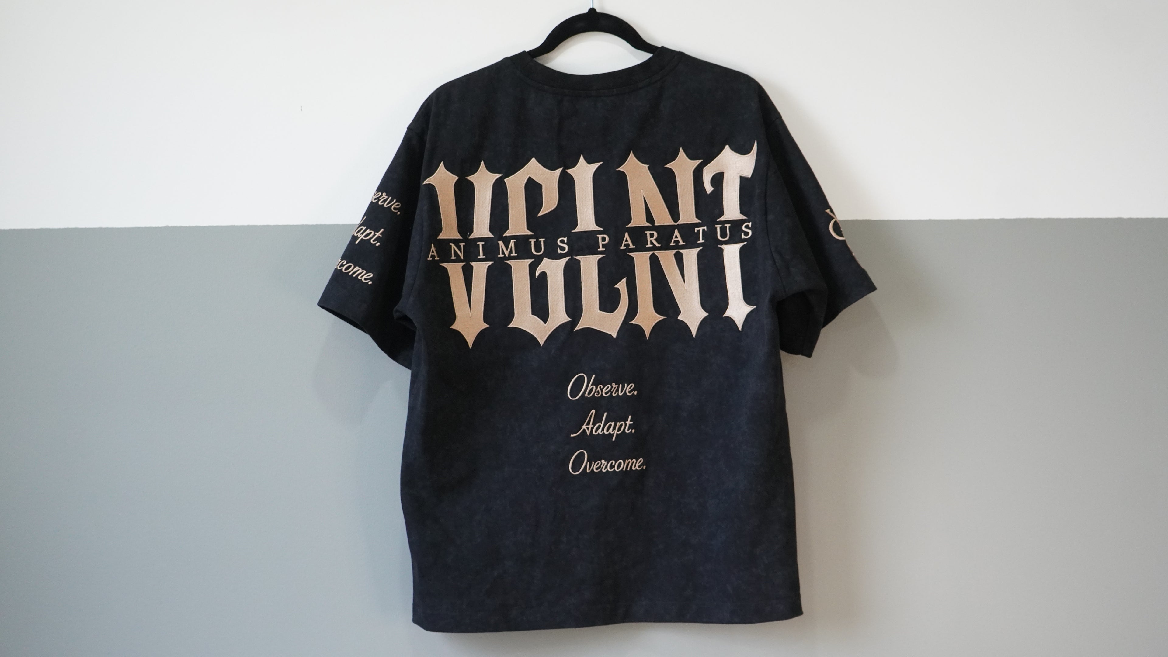 Washed Tee (VGLNT)